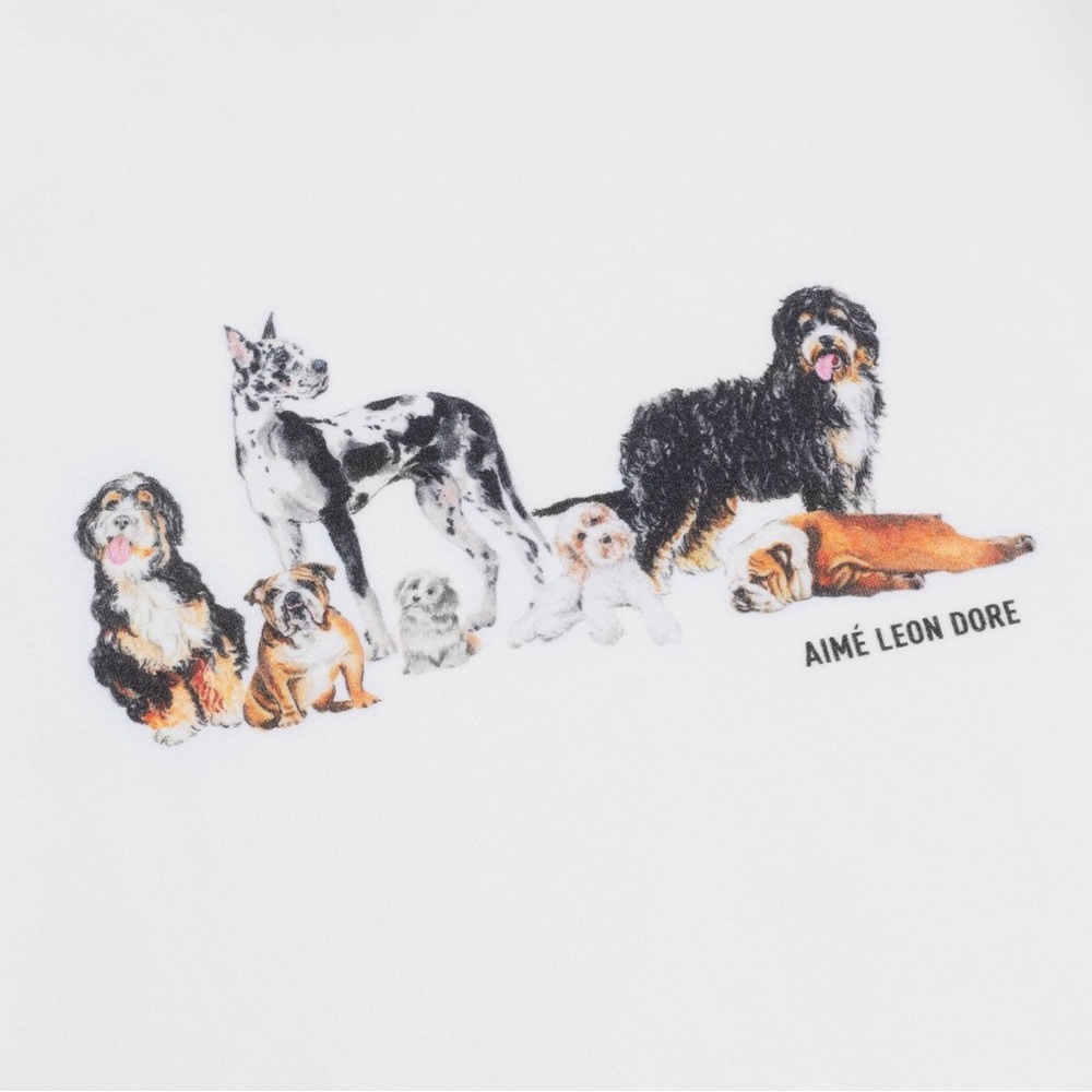 ISO Aimé Leon Dore Dog Park Tee